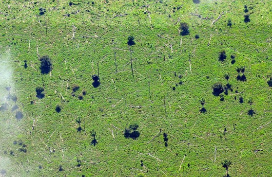 Pacajá, Brazil