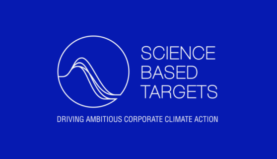 sbti logo